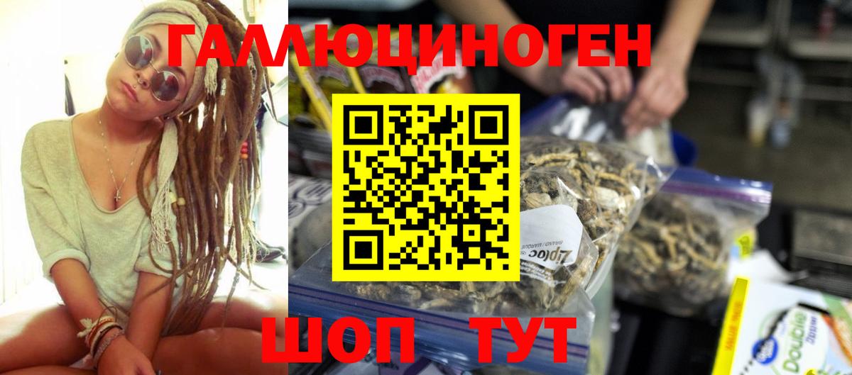 Сургут  Галлюциногенные грибы MAGIC MUSHROOMS  магазин продажи   Вход с VPN 