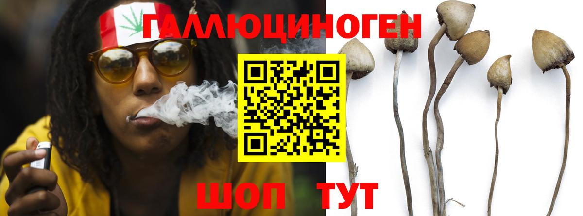 Галлюциногенные грибы MAGIC MUSHROOMS Сургут